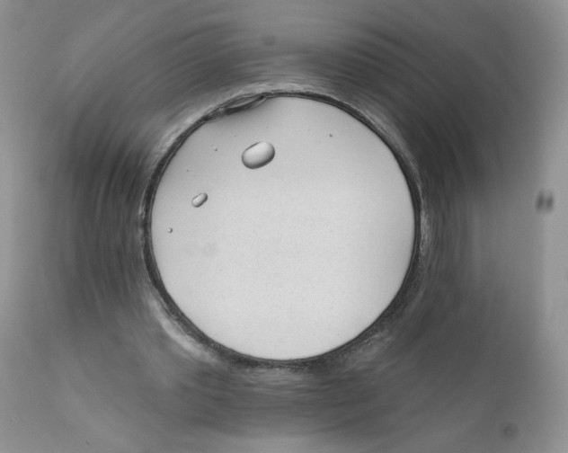 X0000111610389200908141259