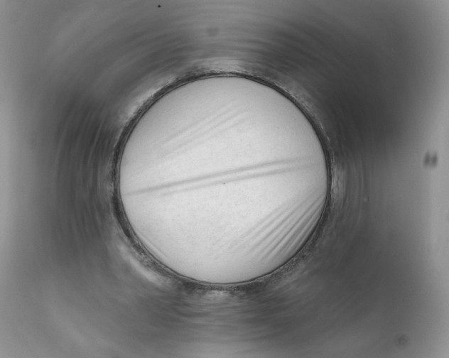 X0000111610390200908141259