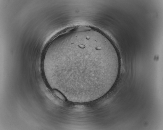 X0000111610391200908141259