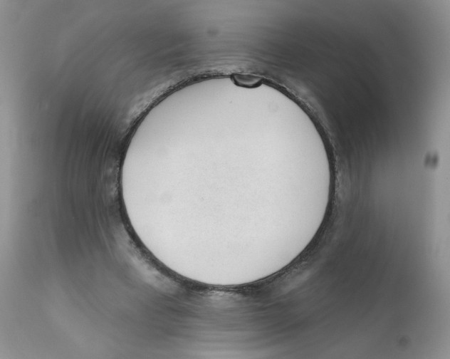 X0000111610393200908141259