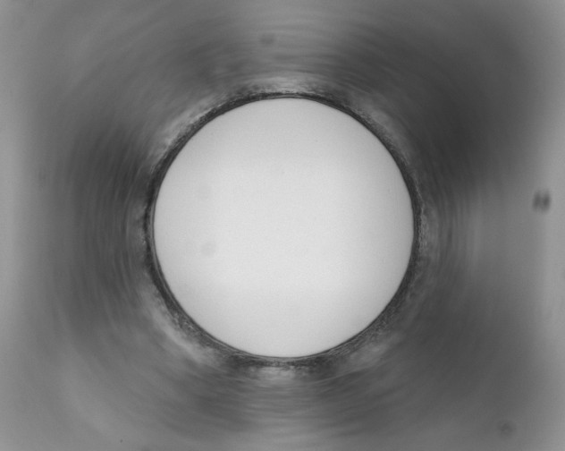 X0000111610394200908141259