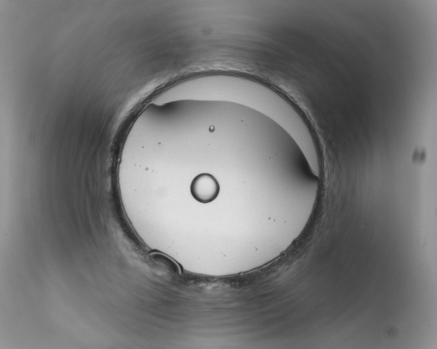 X0000111610395200908141259