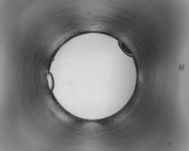 X0000111610397200908141259