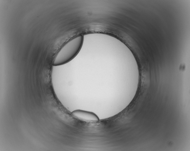 X0000111610401200908141259