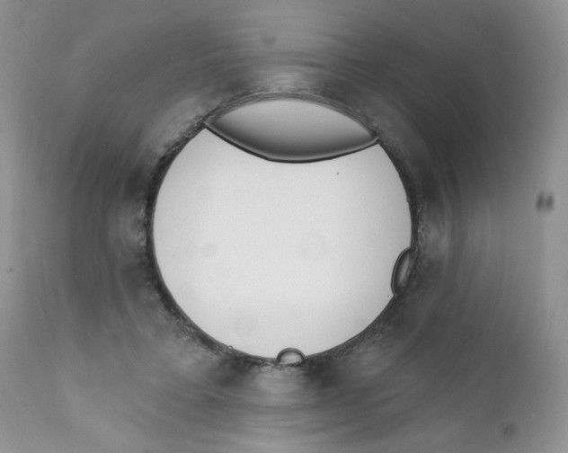 X0000111610403200908141259