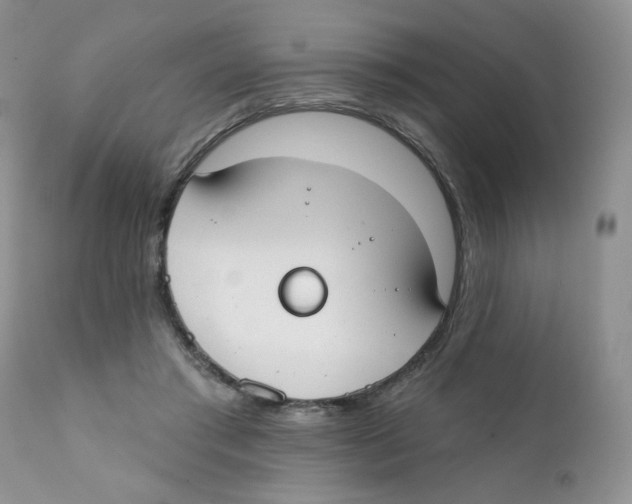 X0000111610405200908141259