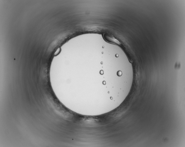 X0000111610407200908141259
