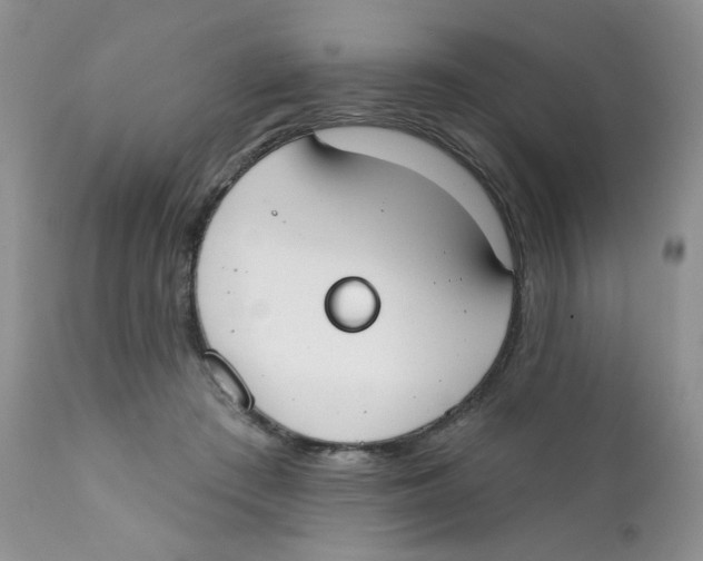 X0000111610409200908141259