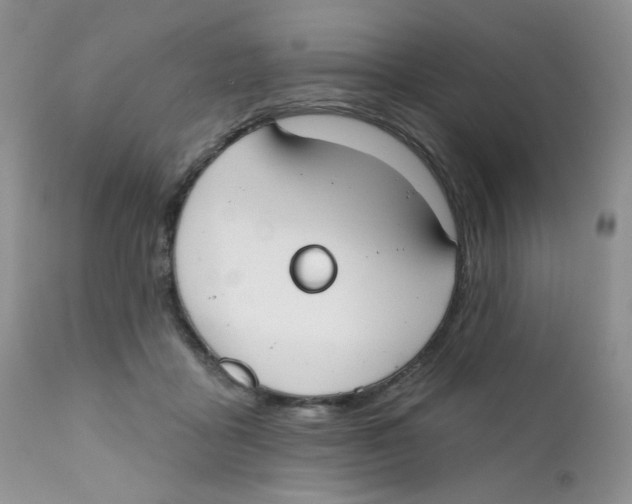 X0000111610411200908141259