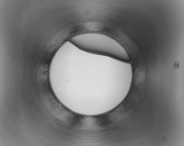 X0000111610413200908141258