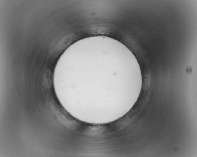 X0000111610414200908141258