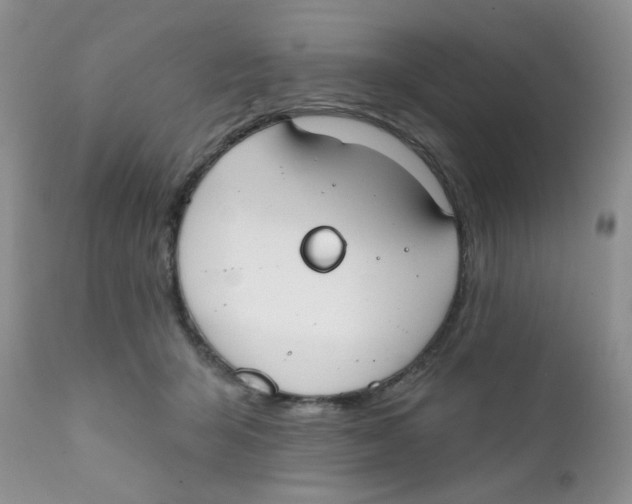 X0000111610415200908141258