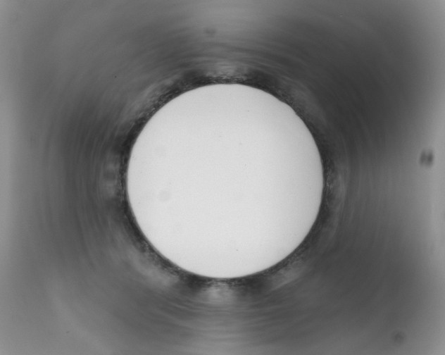 X0000111610416200908141258