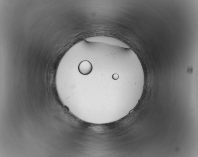 X0000111610417200908141258