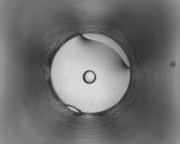 X0000111610419200908141258