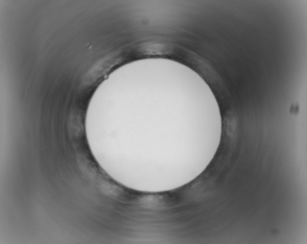 X0000111610422200908141258