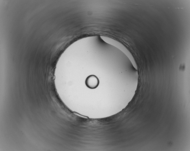 X0000111610423200908141258
