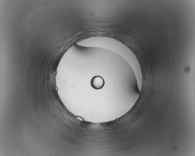 X0000111610425200908141258
