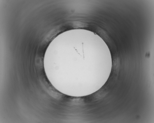 X0000111610426200908141258