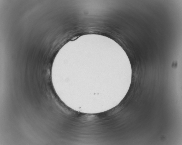 X0000111610427200908141258