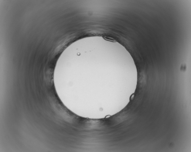 X0000111610428200908141258