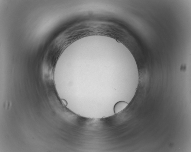 X0000111610431200908141258