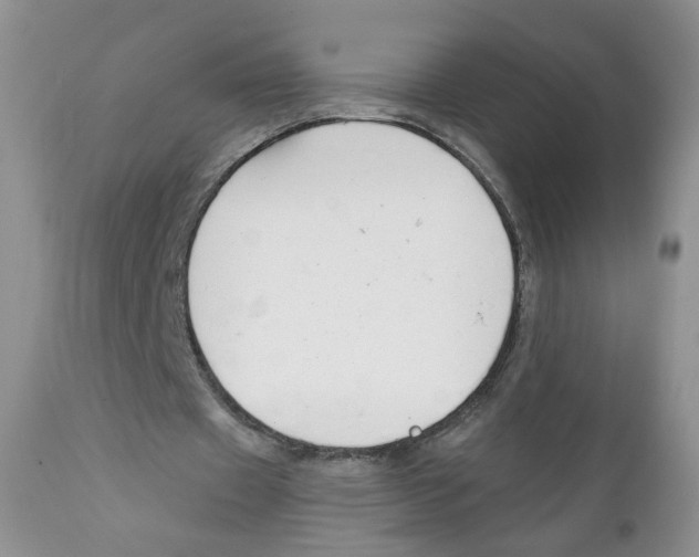 X0000111610433200908141257