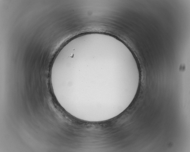 X0000111610434200908141257