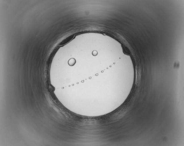X0000111610435200908141257