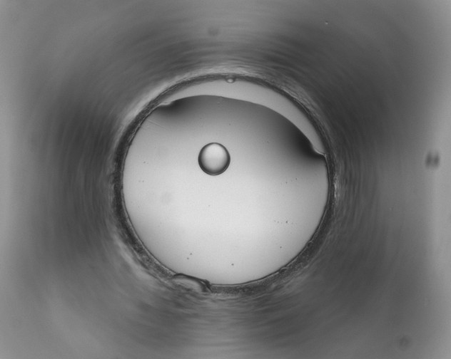 X0000111610436200908141257