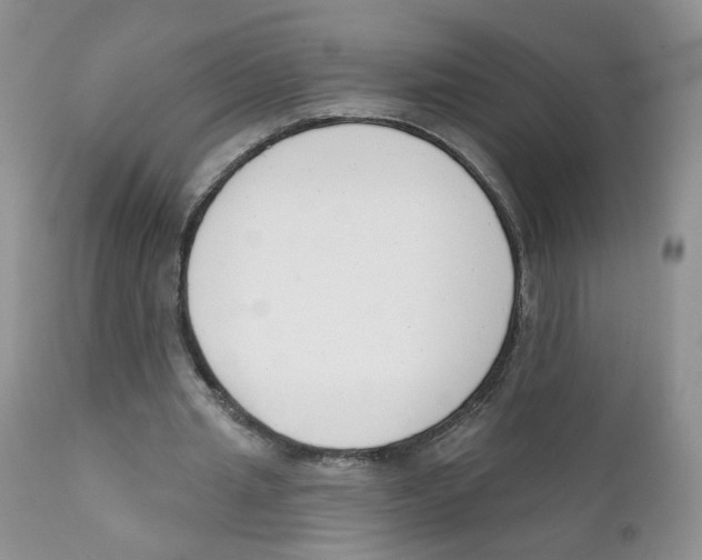 X0000111610437200908141257