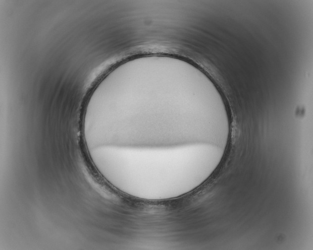 X0000111610438200908141257