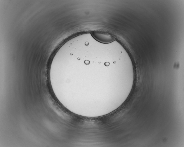 X0000111610439200908141257