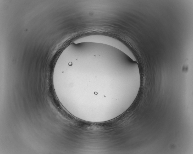 X0000111610444200908141258