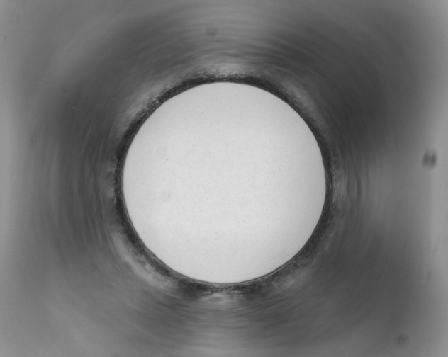 X0000111610447200908141258