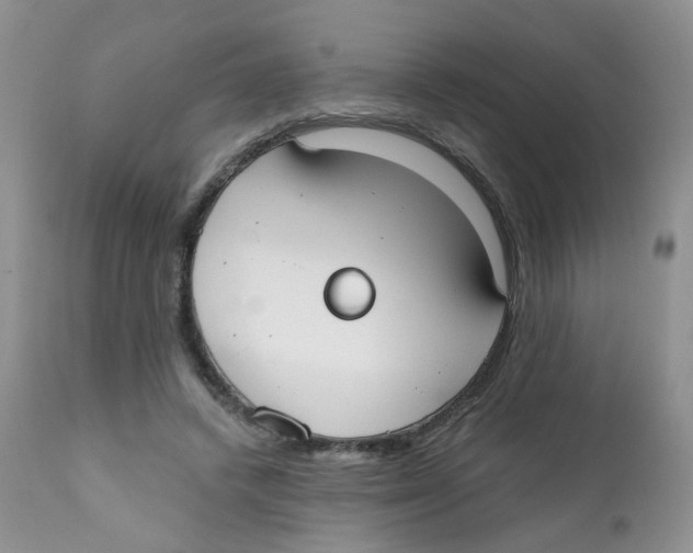 X0000111610448200908141258