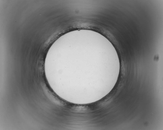 X0000111610449200908141258