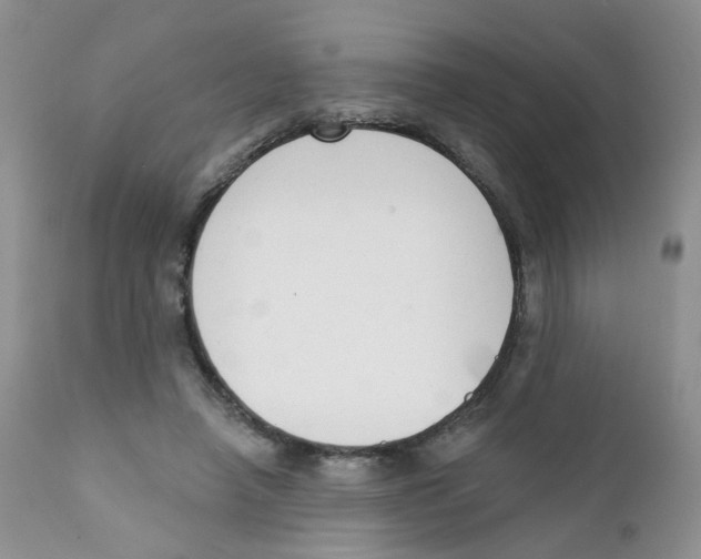 X0000111610450200908141258