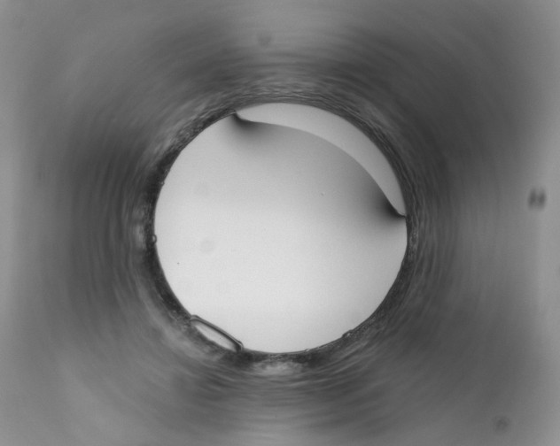 X0000111610452200908141258