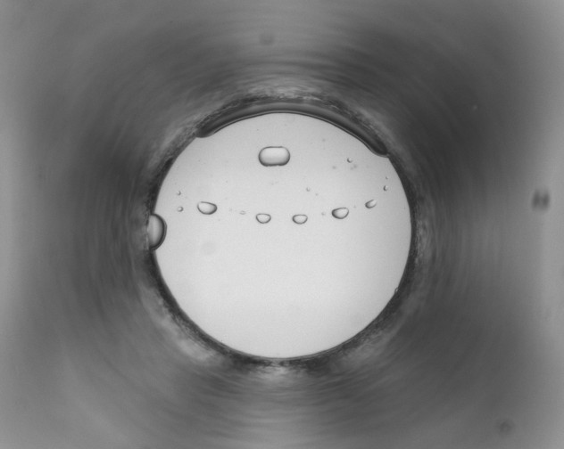 X0000111610453200908141258