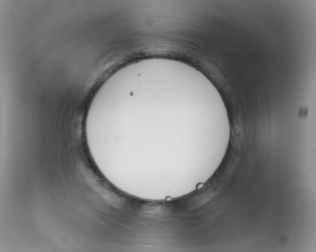 X0000111610454200908141258