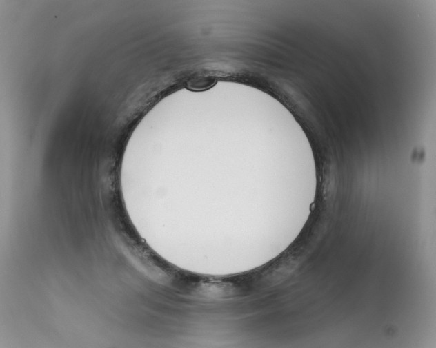 X0000111610455200908141258
