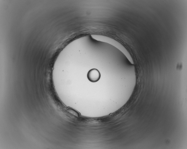 X0000111610456200908141258