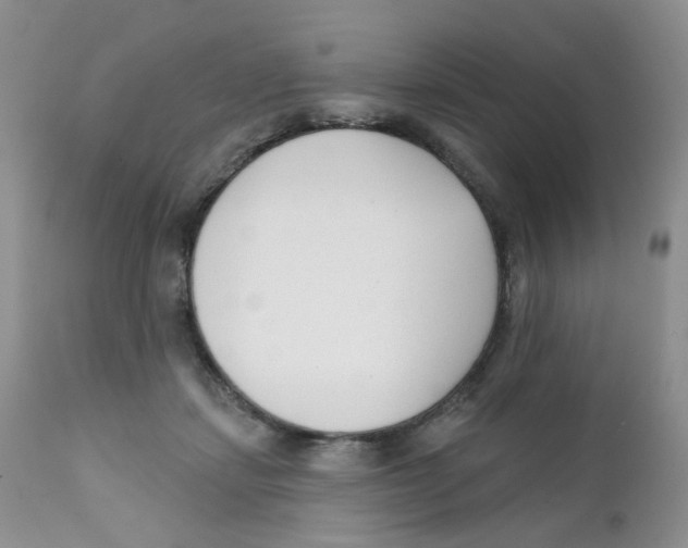 X0000111610459200908141258