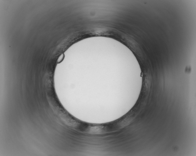 X0000111610461200908141258