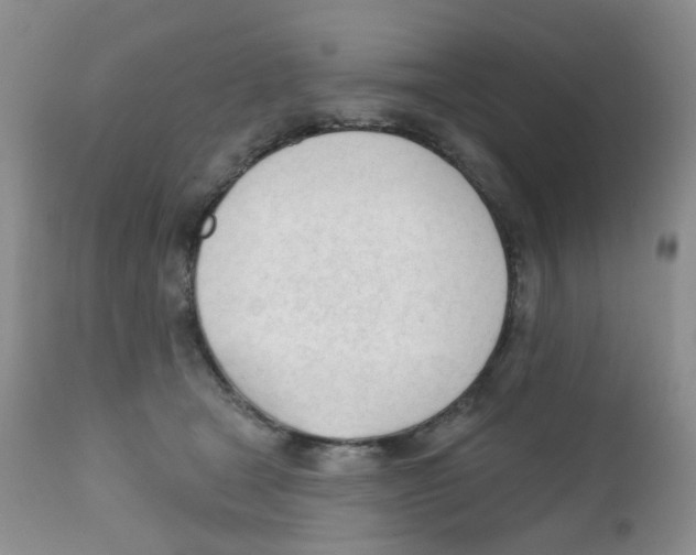 X0000111610465200908141258