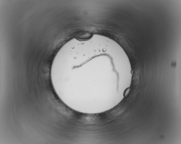 X0000111610466200908141258