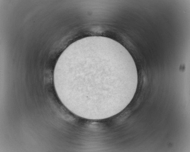 X0000111610467200908141258