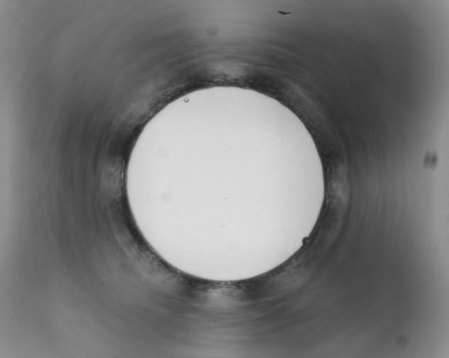 X0000111610468200908141258