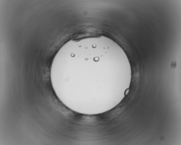 X0000111610469200908141258